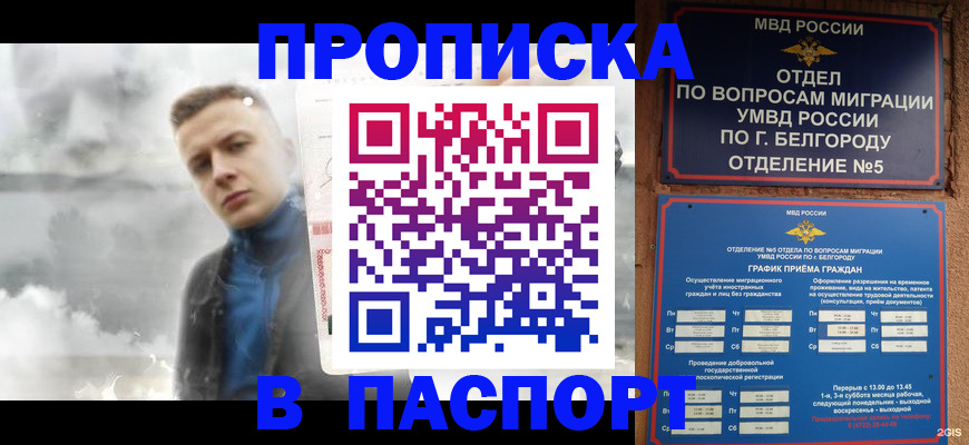 временная регистрация в Алейске